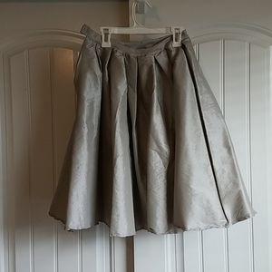 Silver A-Line Skirt from Chic Wish
